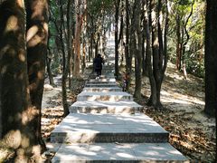 -火炉山森林公园