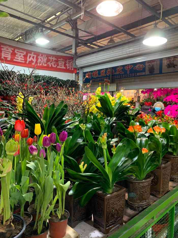 朝来春花卉市场-"交通和停车都挺方便的,假期人不算太多.一.