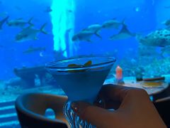 -亚特兰蒂斯•OSSIANO奥西亚诺海底餐厅