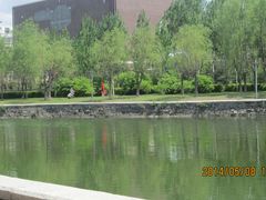 湖面-长春公园(普阳街道)