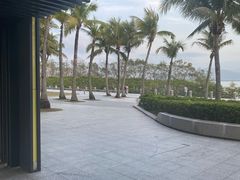 -福田红树林生态公园