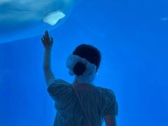 -海合安成都极地海洋公园