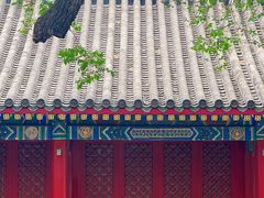 -北京艺术博物馆(万寿寺)