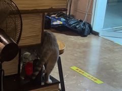 -逃脱反斗城沉浸剧情密室(北京路店)