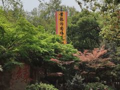 -杭州黄龙洞