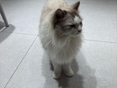 -海椒市落舌·麻辣烫冒菜(晶融汇店)