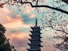 -上海方塔园