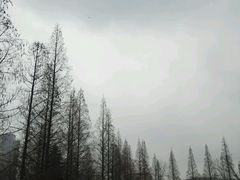 -志龙皇冠吃货椰子铺