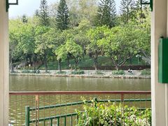 -深圳龙潭公园