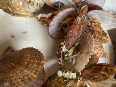 -宾朋海鲜饭庄(兴海路店)