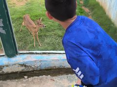 -泉州海丝野生动物世界