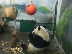 -无锡动物园·太湖欢乐园