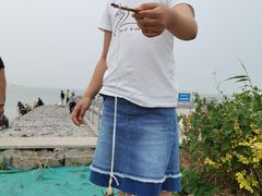 -天津妈祖文化园