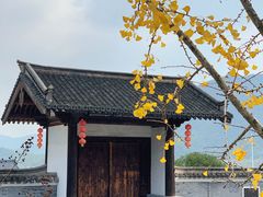 -大唐贡茶院