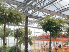 -南宫五洲植物乐园