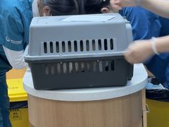 -联合动物医院(光谷诊疗中心)
