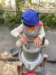 -前小桔亲子创意农场·草莓采摘·露营烧烤