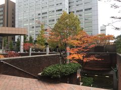 -北海道厅旧本厅舍(旧本庁舎)