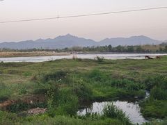 -黄牛肉馆·皖南土菜