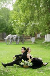 -金夫人婚纱摄影