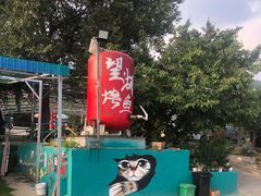 -望湖烤鱼