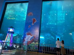 -乐从天佑城海洋馆
