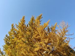 -中国农业博物馆