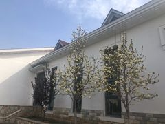 -静之湖湖畔餐厅