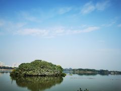 -海珠湖公园