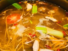 -守柴炉烤鸭(科华中路王府井店)