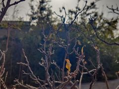 -漪龙台·B26 Rooftop Lounge