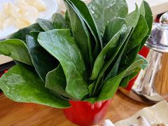 菠菜-重庆秦妈火锅(全国连锁五台山店)