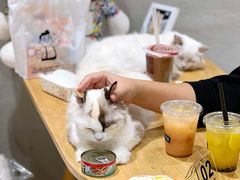 -藏猫猫咖啡主题馆(中央大道店)