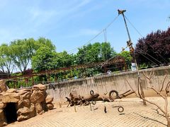 -西安秦岭野生动物园