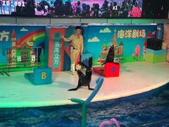 -成都浩海立方海洋公园