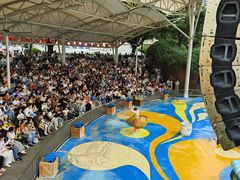 -海合安成都极地海洋公园