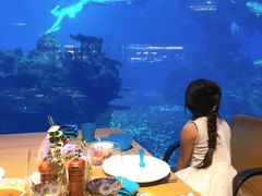 -海棠湾洲际-涛·海底餐厅·美人鱼·自助餐·海底隧道