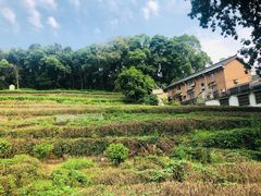 -杭州西湖风景名胜区-满觉陇四眼井