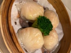 -悦景酒家(罗湖店)
