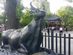 -文瀛公园