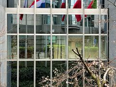 -布鲁塞尔大广场