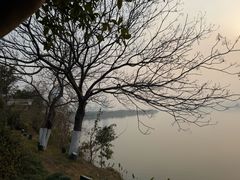 -艾溪湖湿地公园