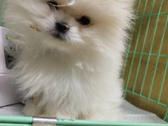 -北京佳信宠物医院
