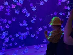 -石家庄极地海洋世界