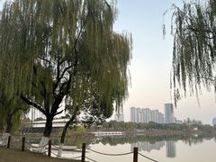 -艾溪湖湿地公园