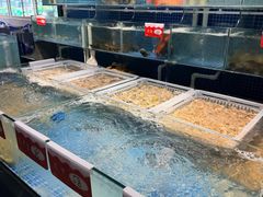 -阳江餐厅·30年老字号·粤菜海鲜大排档