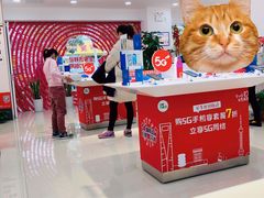 -中国移动通信(惠南营业厅)