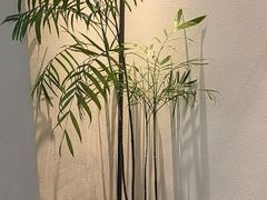 -溪畔•新徽菜(碧湖云溪店)