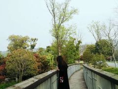 -白马涧龙池景区