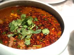 -雀蓝川菜(奥体广场店)